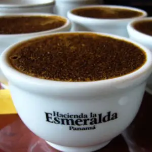 hacienda la esmeralda dure koffie