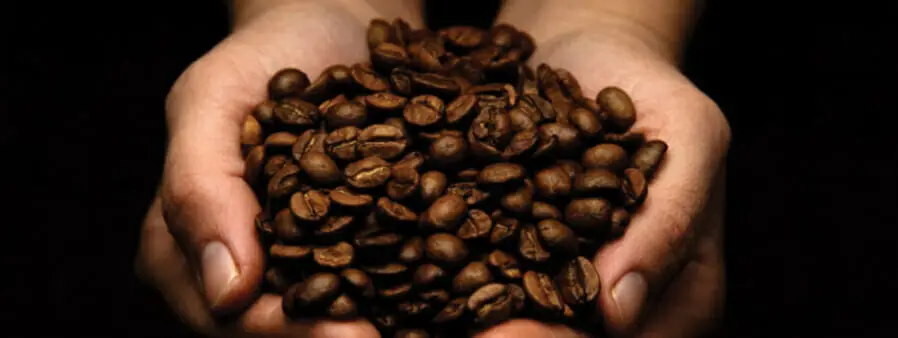 tips om beste koffie bonen te kiezen