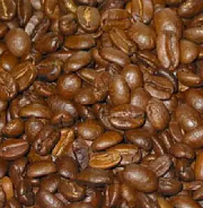 arabica en robusta koffie bonen