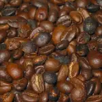 robusta en arabica koffie