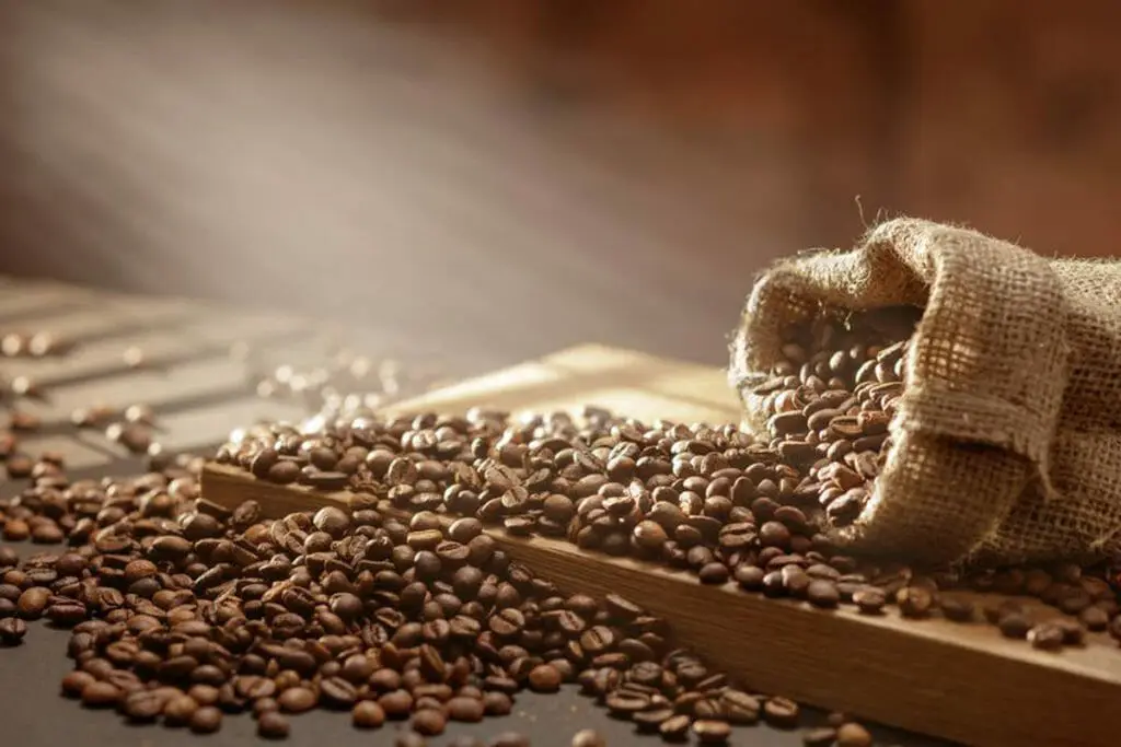 houdbaarheid koffiebonen gemalen koffie