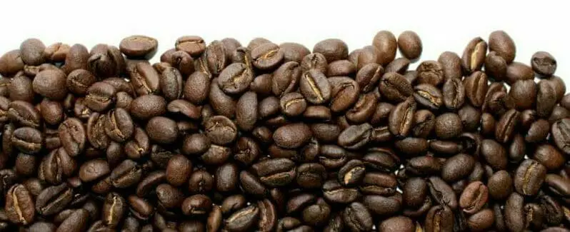 contact Brengen gevechten Kan je koffiebonen malen in een voedselverwerker of blender? » Vivakoffie